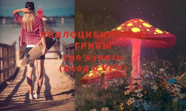 дмт Алзамай